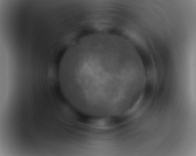 X0000092330182200709211314