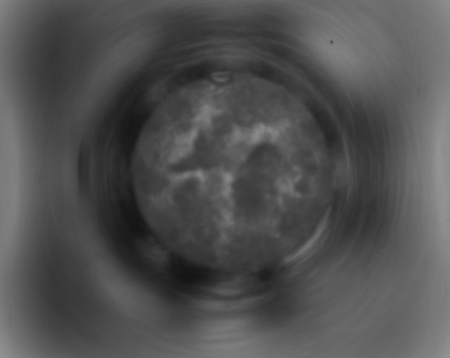 X0000092330191200709211314