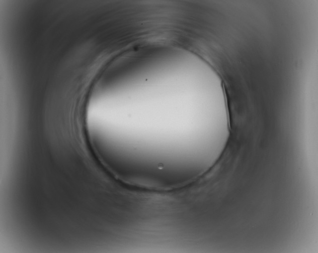 X0000092330193200709211313