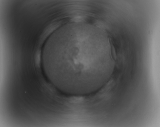 X0000092330194200709211313