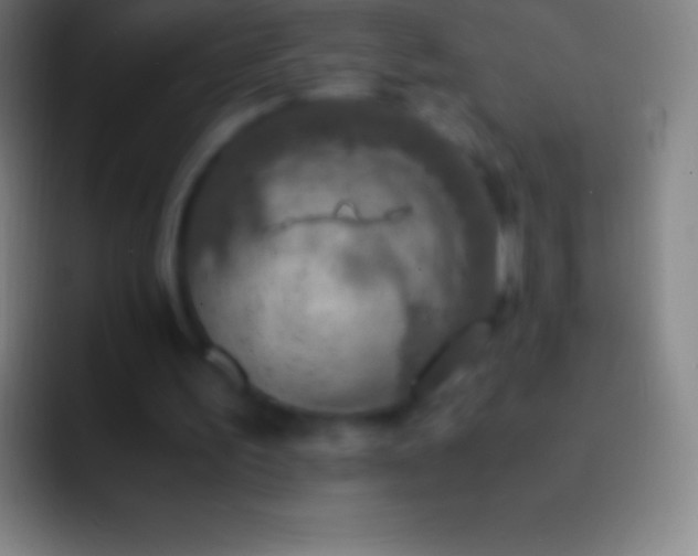 X0000092330195200709211313