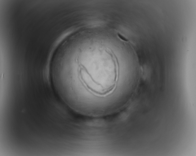 X0000092330196200709211313