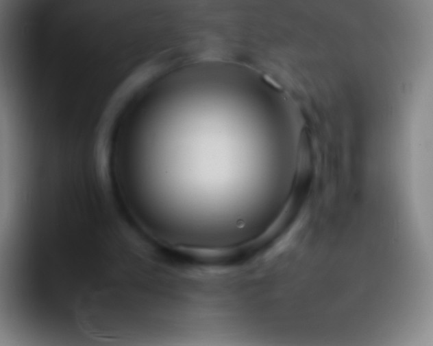 X0000092330197200709211313