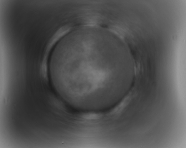 X0000092330198200709211313