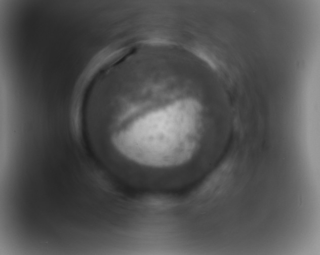 X0000092330199200709211313