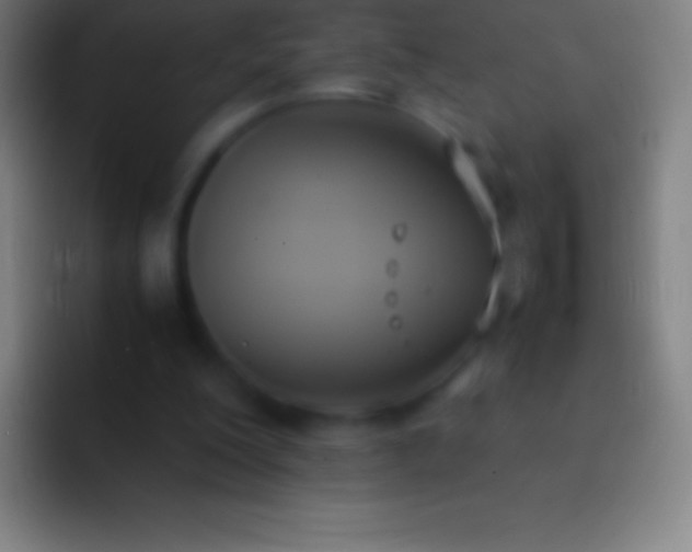 X0000092330200200709211313