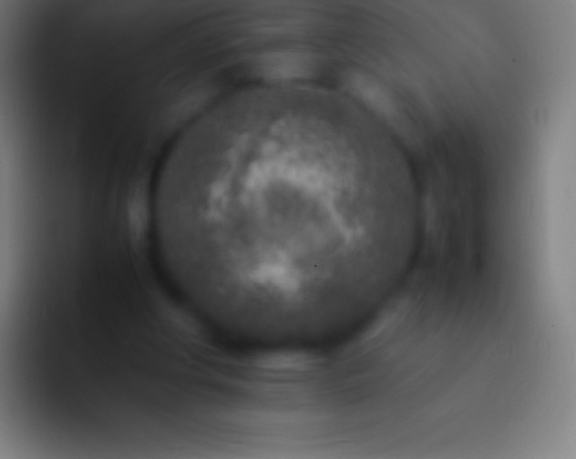 X0000092330202200709211313