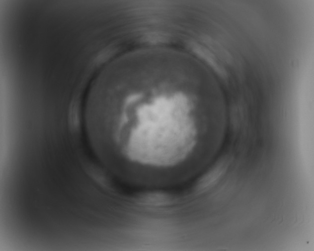 X0000092330203200709211313