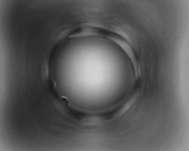 X0000092330205200709211313