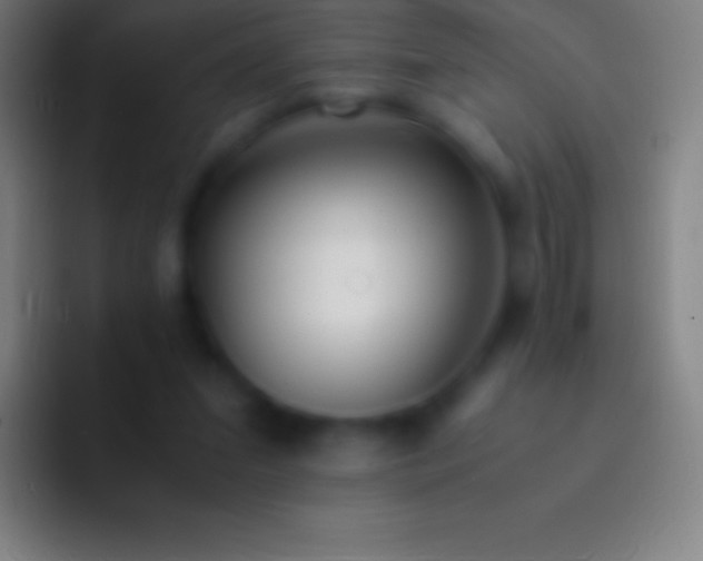 X0000092330207200709211313