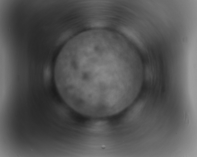 X0000092330208200709211313