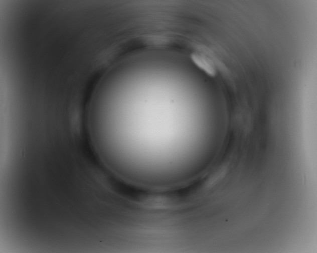 X0000092330209200709211313