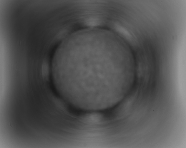 X0000092330210200709211313