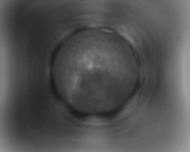 X0000092330211200709211313