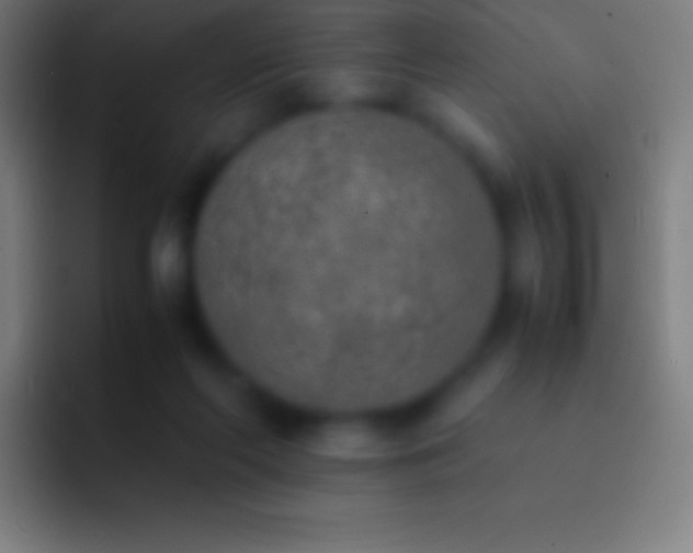 X0000092330214200709211313