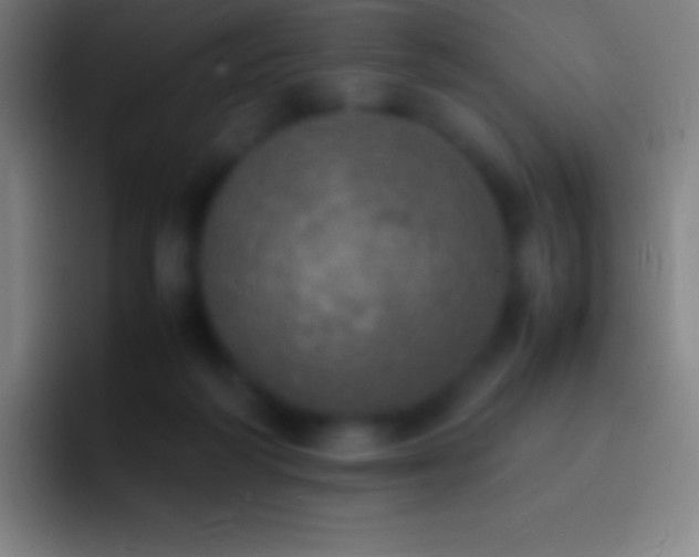 X0000092330218200709211313