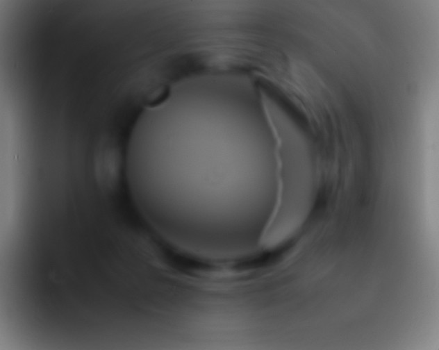 X0000092330219200709211313
