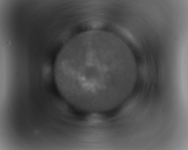 X0000092330222200709211313