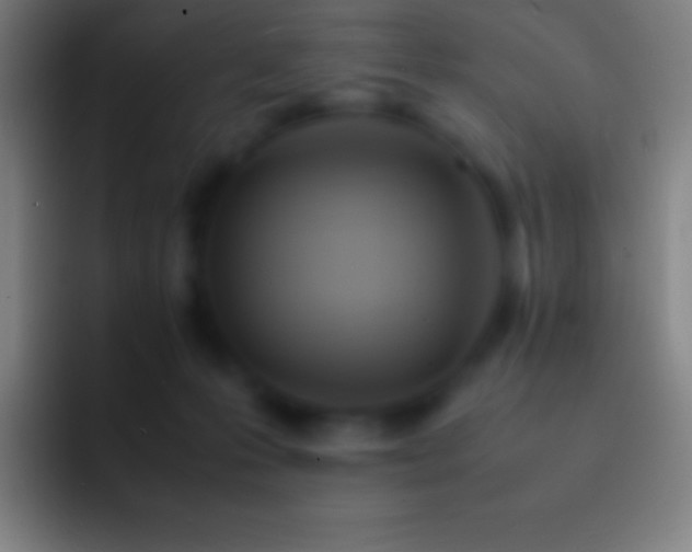 X0000092330223200709211313