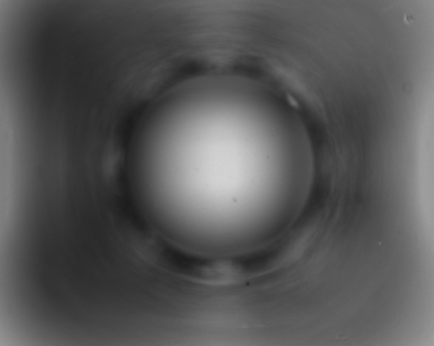X0000092330225200709211313