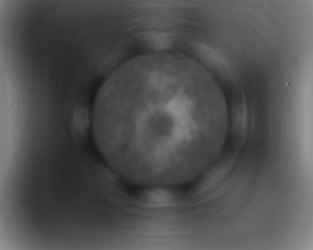 X0000092330230200709211313