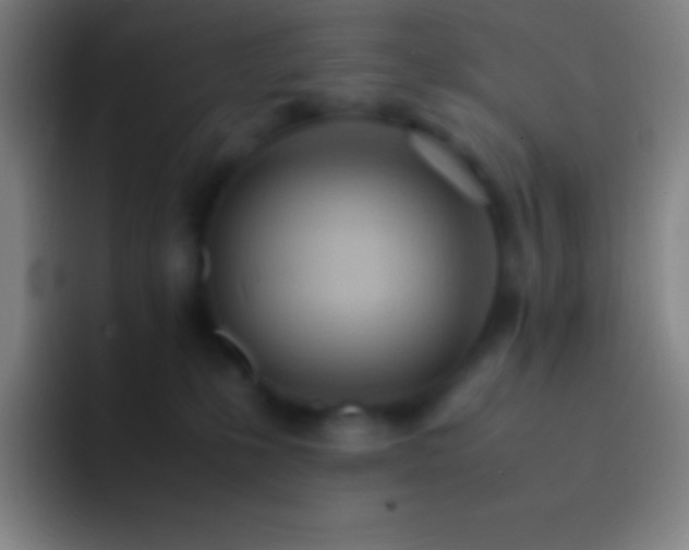 X0000092330231200709211313