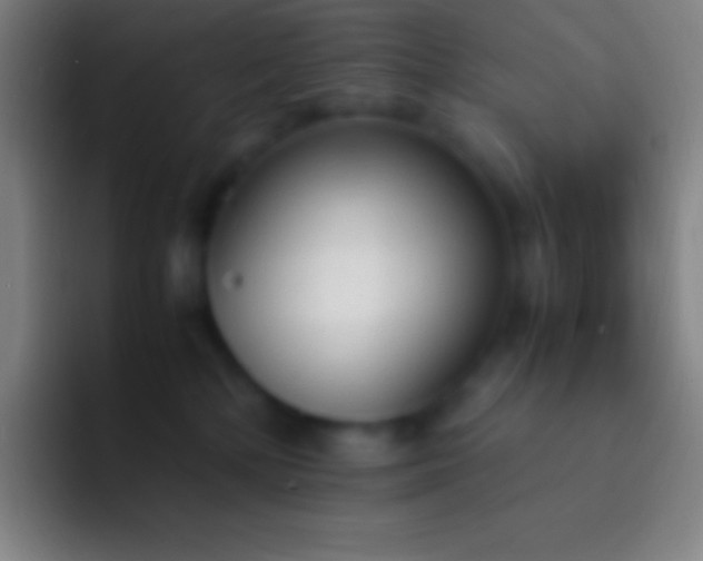 X0000092330232200709211313