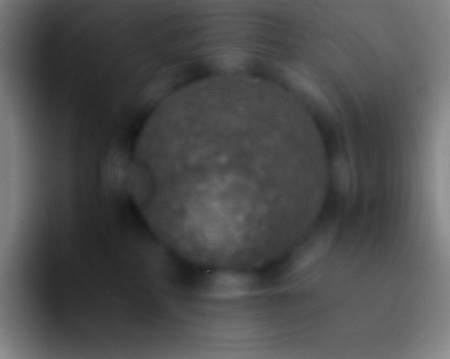 X0000092330234200709211313