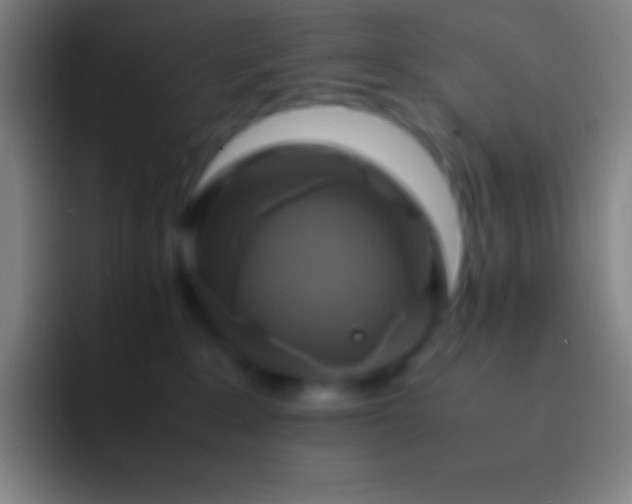 X0000092330235200709211313
