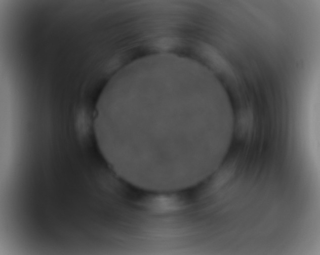 X0000092330236200709211313