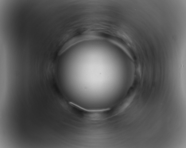 X0000092330237200709211313