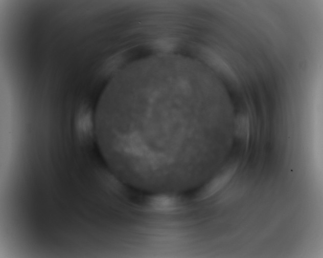 X0000092330238200709211313