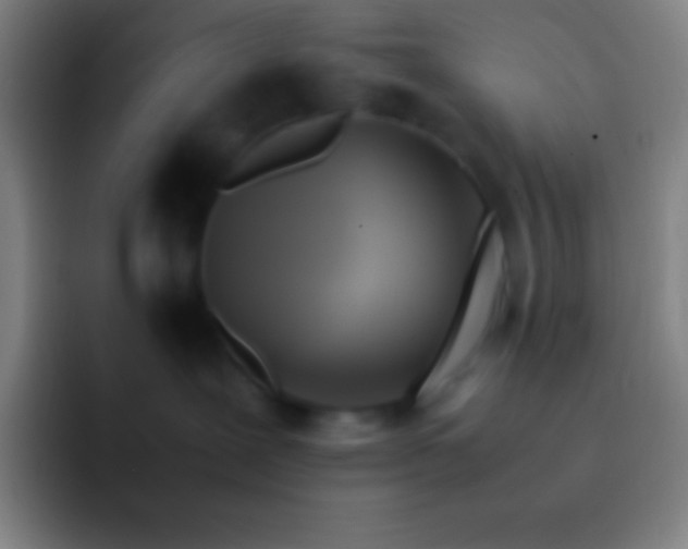 X0000092330239200709211313
