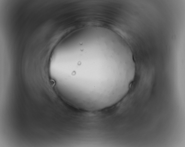X0000092330241200709211312