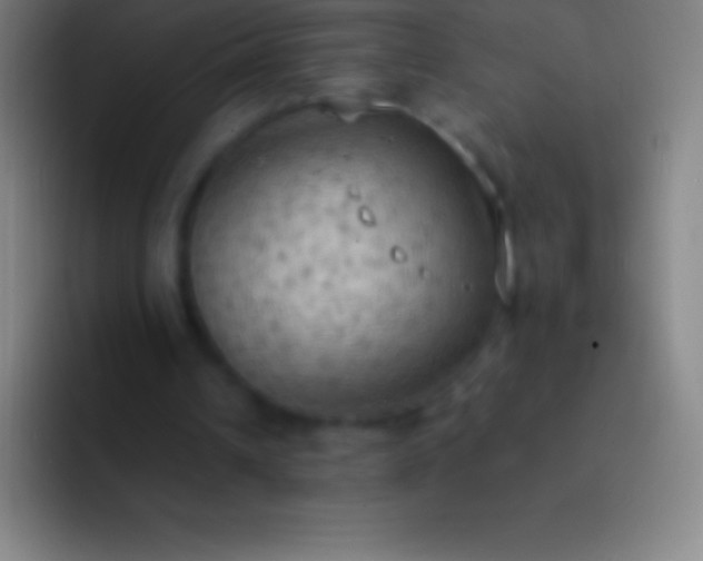 X0000092330242200709211312