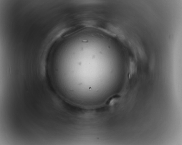 X0000092330243200709211312