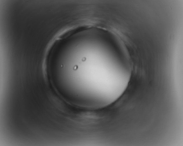 X0000092330244200709211312