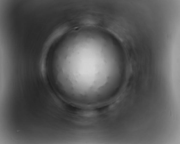 X0000092330245200709211312