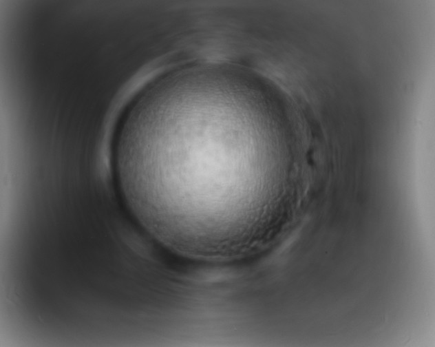 X0000092330246200709211312