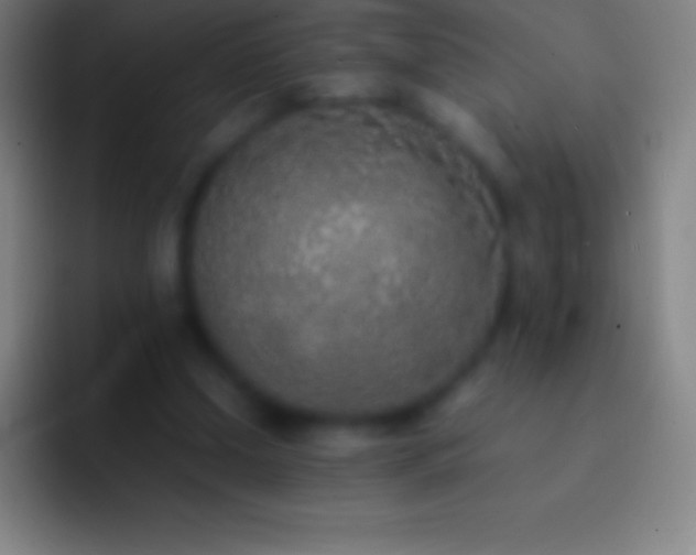 X0000092330250200709211312