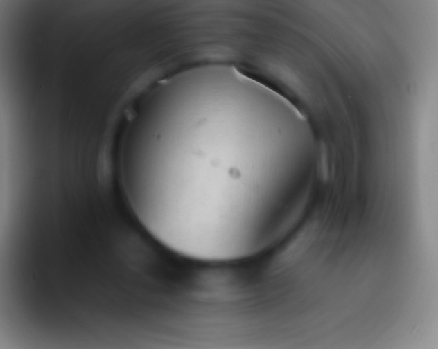 X0000092330252200709211312