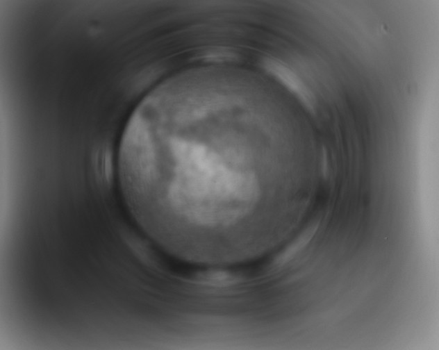 X0000092330253200709211312