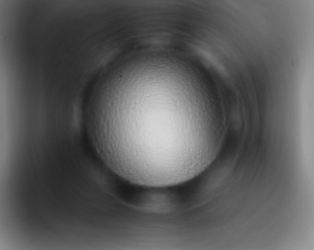 X0000092330255200709211312