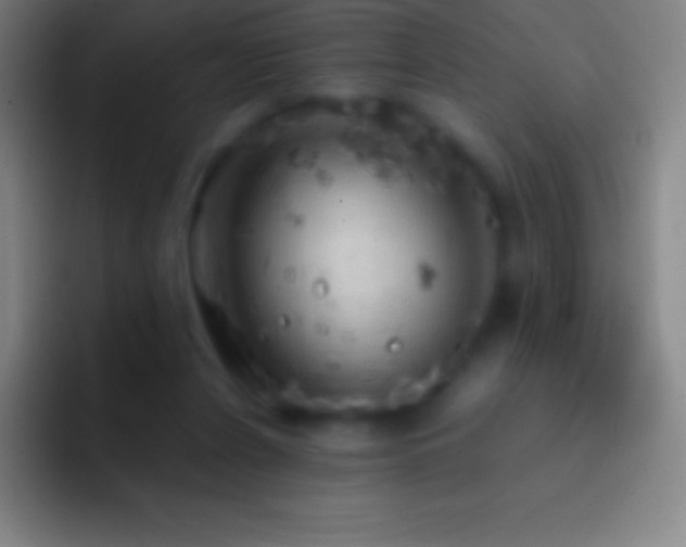 X0000092330256200709211312