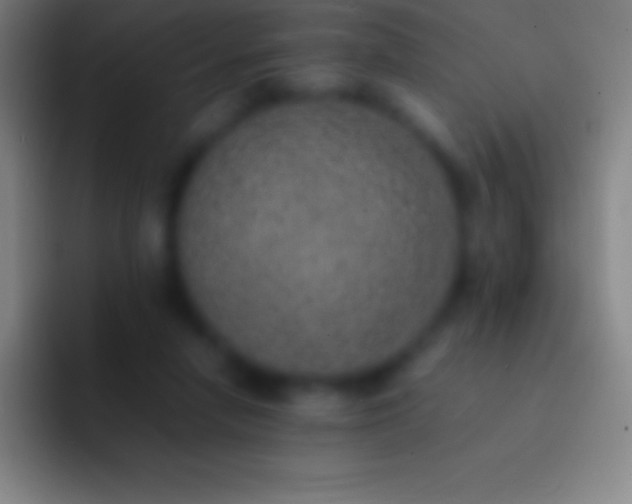 X0000092330258200709211312