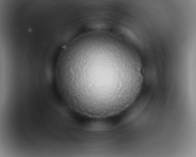 X0000092330259200709211312