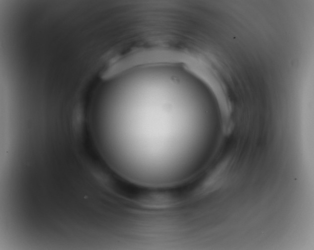 X0000092330260200709211312