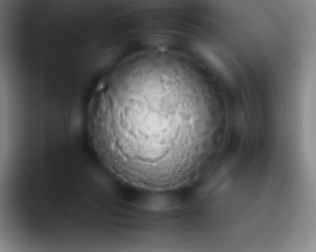 X0000092330261200709211312