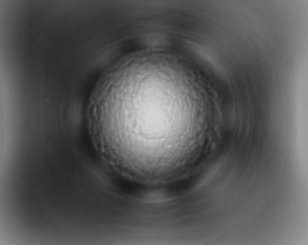 X0000092330263200709211312