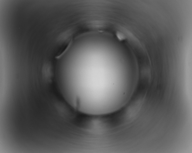 X0000092330264200709211312